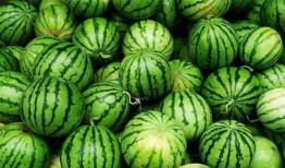 今日吃瓜全集完整版